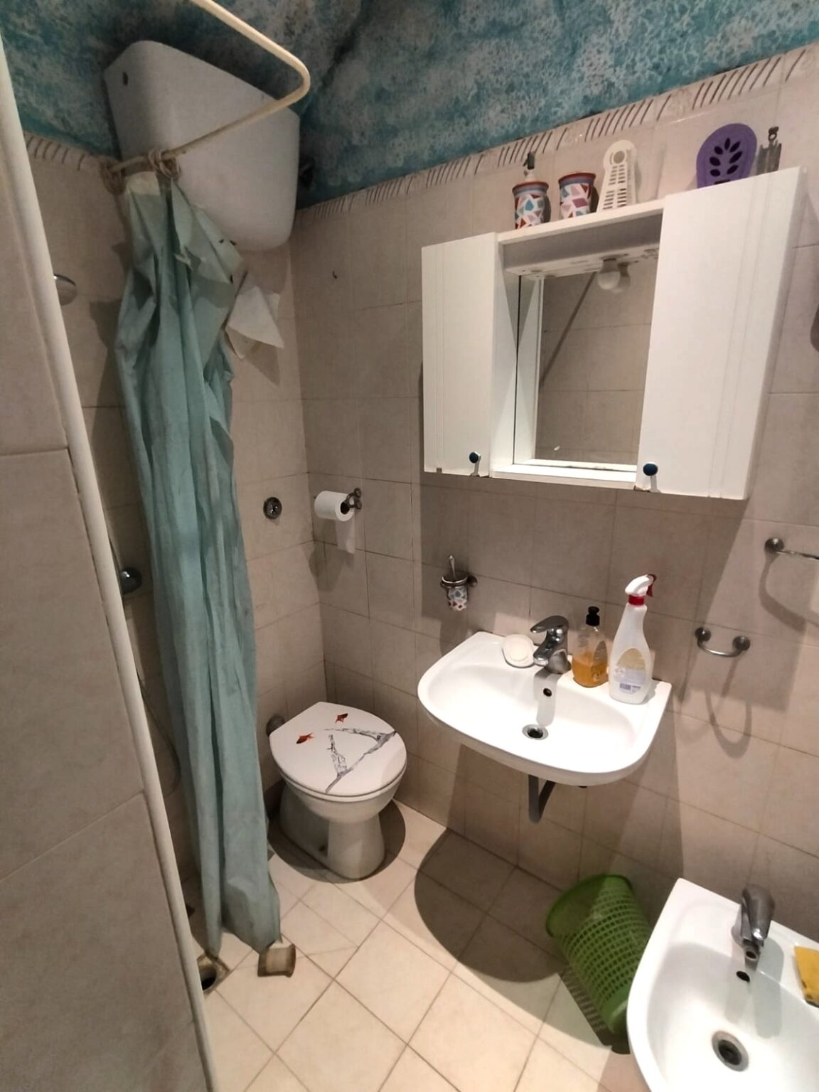 WhatsApp Image 2026-03-11 at 12.13.06 (2)