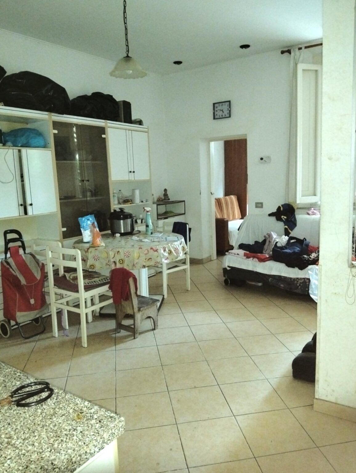 WhatsApp Image 2026-03-11 at 12.13.08 (3)