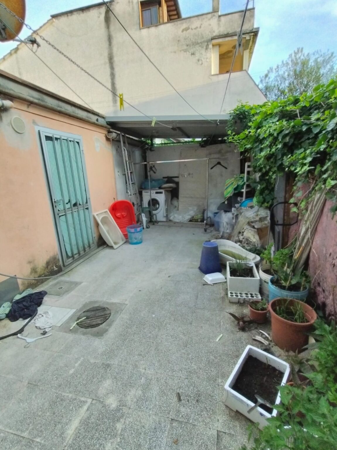 WhatsApp Image 2026-03-11 at 12.13.09 (1)