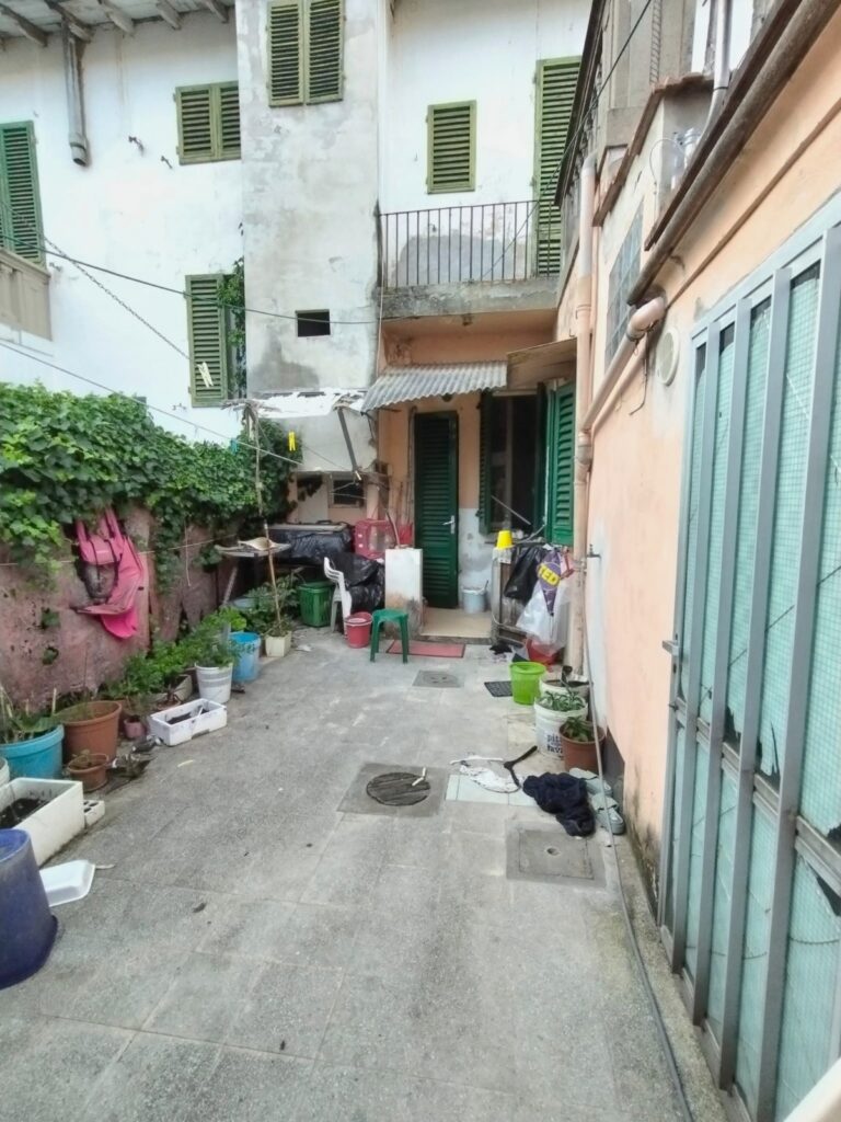 WhatsApp Image 2026-03-11 at 12.13.10